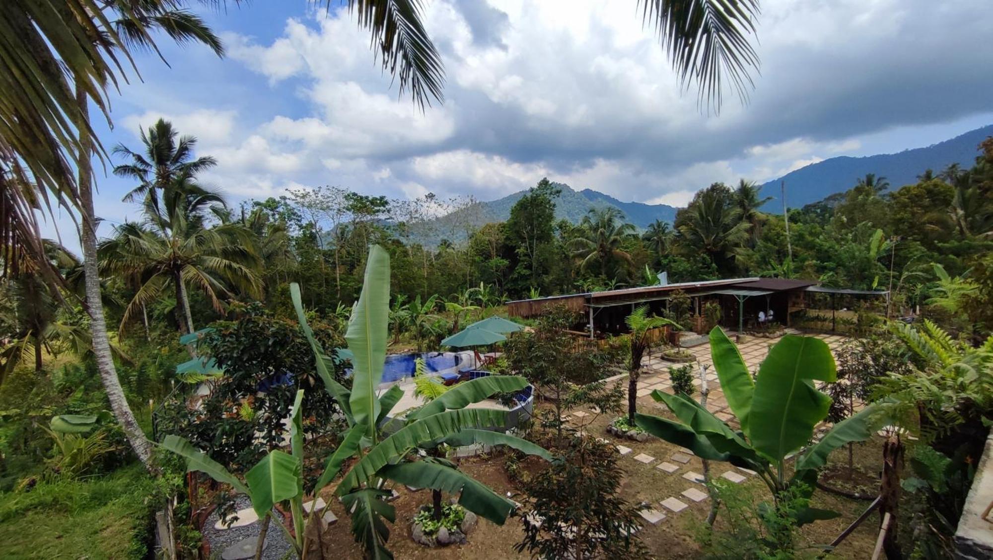 Sekumpul Bali Hidden Space Singaraja Exteriör bild