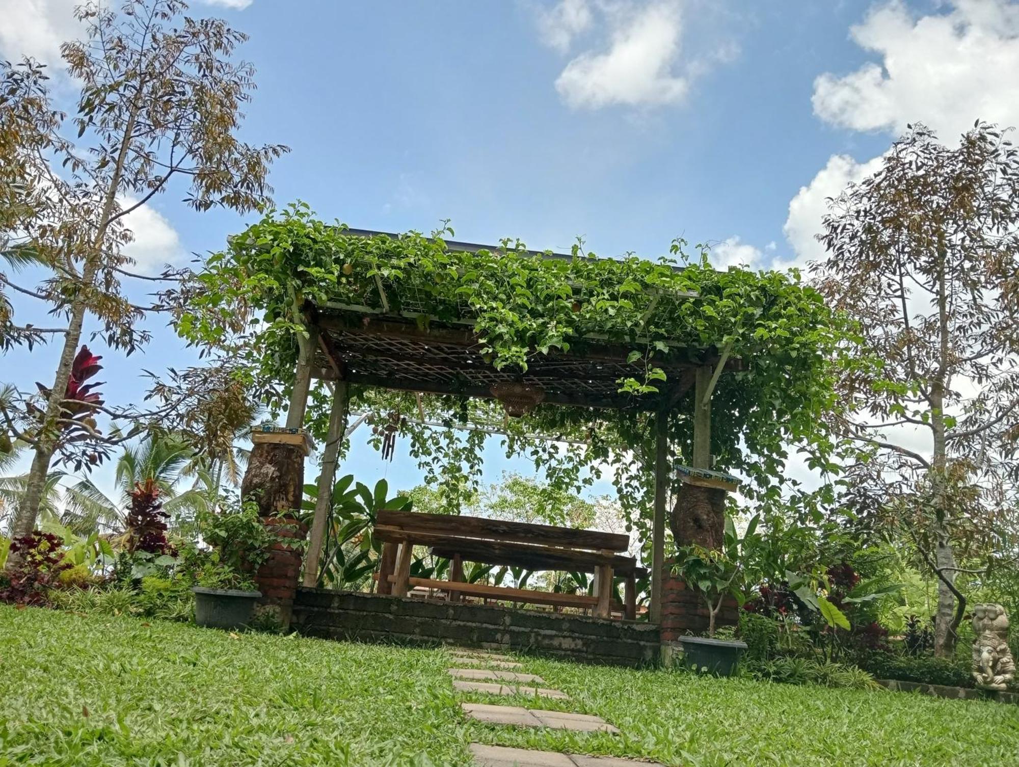 Sekumpul Bali Hidden Space Singaraja Exteriör bild